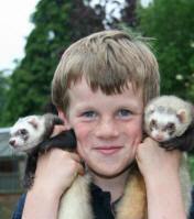 Christopher and two of the half dozen ferrets