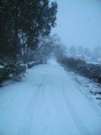 Framsden ~ pic by Amanda Frost