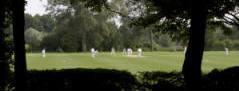 Cricket at Framlingham College 