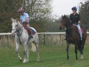 Framlingham (on the left) on the gallops