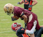 Cards 29-00 Pumas