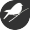 International Dawn Chorus Day International Dawn Chorus Day
