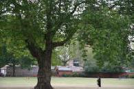 London Fields  Hackney 2006