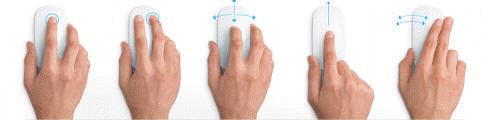 Using the Apple Magic Mouse