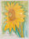 Sunflower by Karen Lear