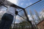 Putting up the practice nets at Stradbroke Cricket Club