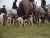 Easton Harriers at Saxtead Green