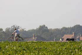 Man, bicycle and dog near Framlingham