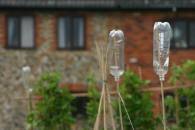 Wickham Market allotments